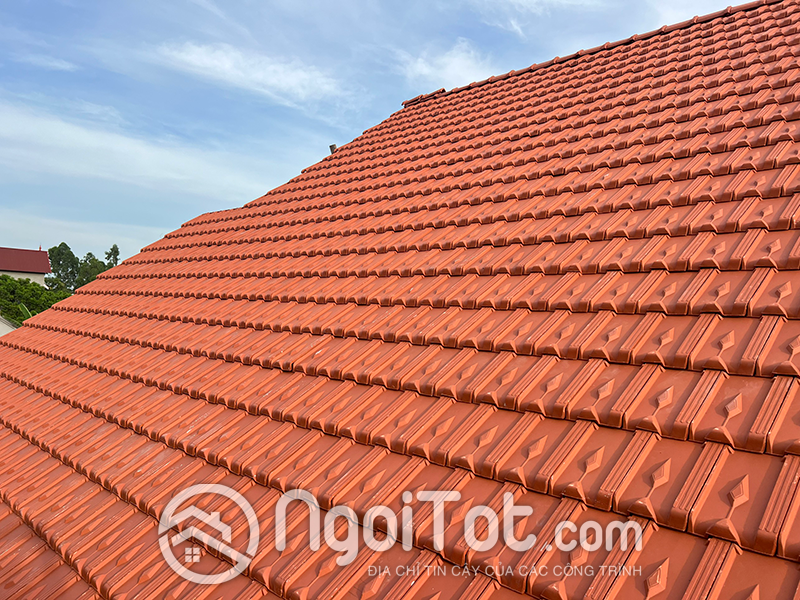 Ngoi 16 Vien Viglacera Ha Long Tieu Giao1