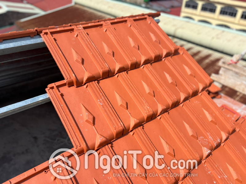 Ngoi 16 Vien Viglacera Ha Long Tieu Giao10