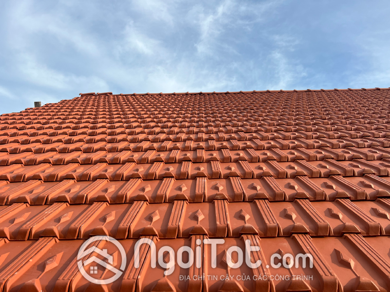 Ngoi 16 Vien Viglacera Ha Long Tieu Giao2