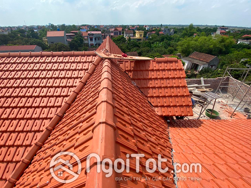 Ngoi 22 Vien M Viglacera Ha Long Tieu Giao 1