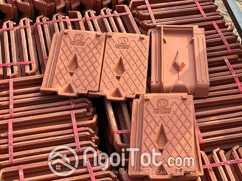 Ngoi 22 Vien M Viglacera Ha Long Tieu Giao 5