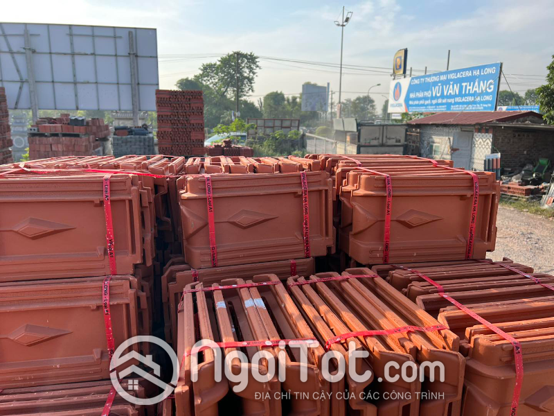 Ngoi 22 Vien M Viglacera Ha Long Tieu Giao 6