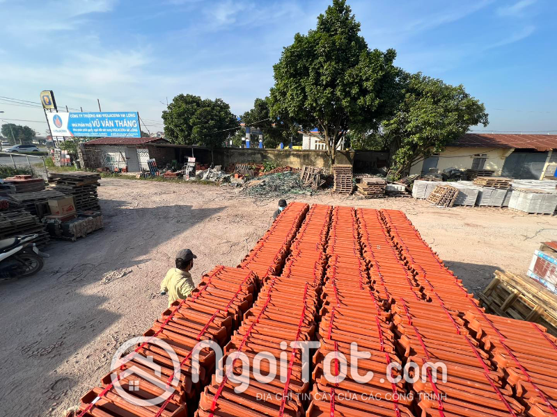 Ngoi 22 Vien M Viglacera Ha Long Tieu Giao 8