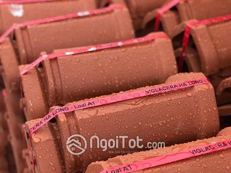 Ngói Nóc Trung Viglacera Hạ Long