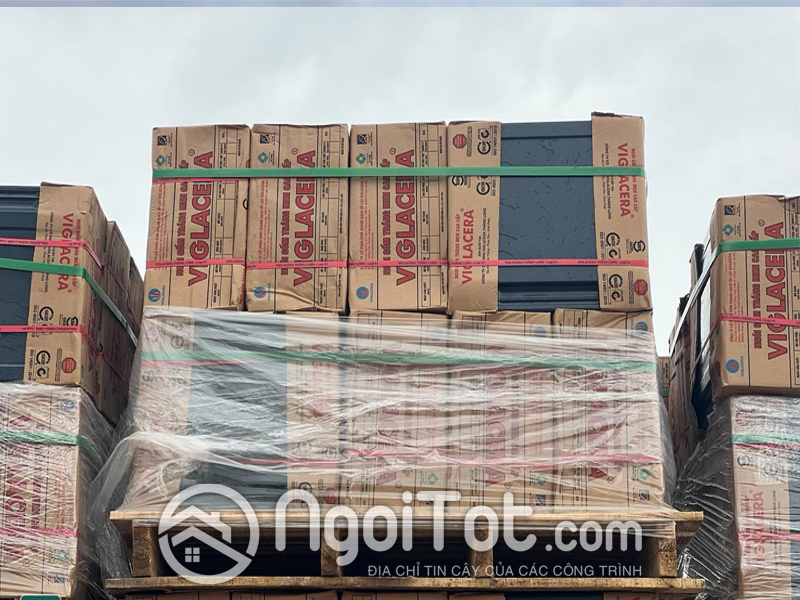 Ngoi Phang Trang Men Viglacera Thang Long T12 6