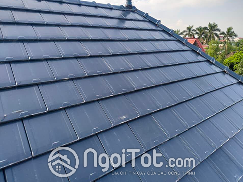 Ngoi Phang Trang Men Viglacera Thang Long T12 8