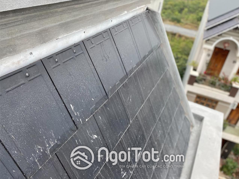 Ngoi Phang Viglacera Thang Long T03 5