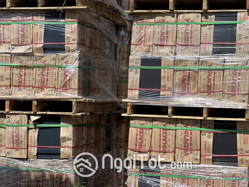 Ngoi Phang Viglacera Thang Long T03 8