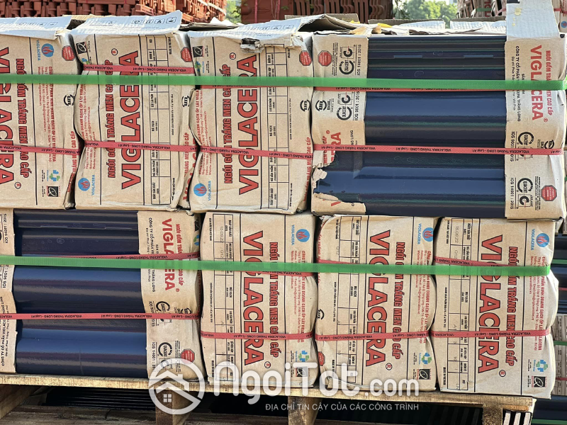 Viglacera Thang Long Q12 1